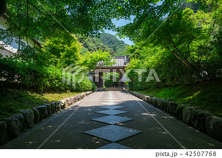 京都 南禅寺塔頭 最勝院の新緑 京都 南禅寺塔頭 最勝院の新緑 42507768
