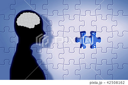 パズル 42508162