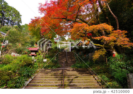 日向大神宮の紅葉 日向大神宮の紅葉 42510000