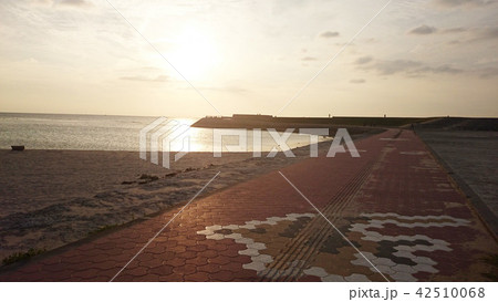 トロピカルビーチ 42510068