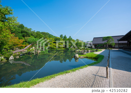 京都 天龍寺 夏 京都 天龍寺 夏 42510282