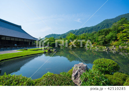 京都　天龍寺　夏 42510285