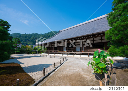京都 天龍寺 大方丈 夏 京都 天龍寺 大方丈 夏 42510505
