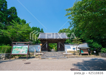 京都　二尊院　夏 42510836