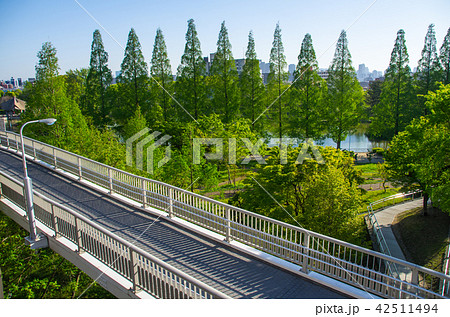 大阪・城北公園 42511494