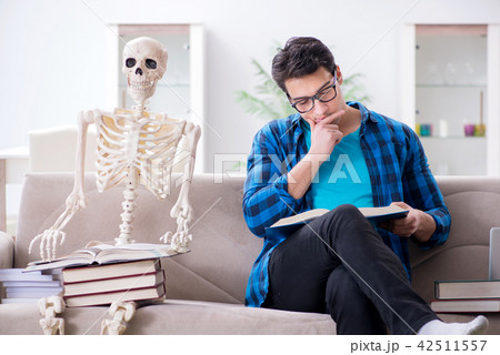 Student studying with skeleton preparing for exams 42511557