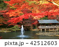 池の紅葉 42512603