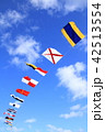 旗 42513554