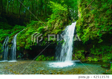 陣馬の滝 42513570