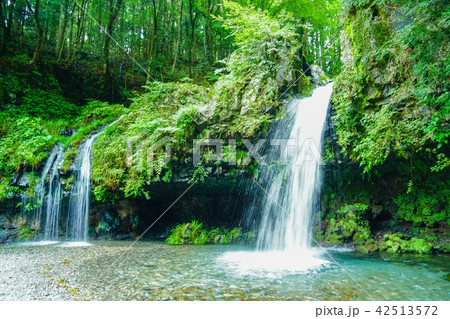 陣馬の滝 42513572