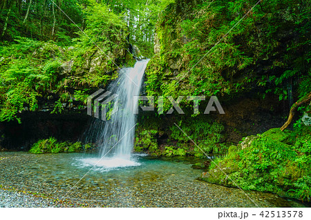 陣馬の滝 42513578