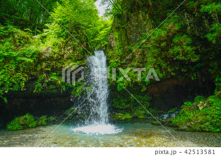 陣馬の滝 42513581