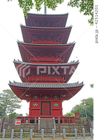 池上本門寺 池上本門寺 42514201