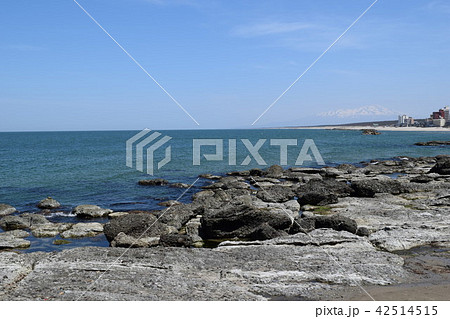 湯野浜海岸（山形県鶴岡市） 42514515