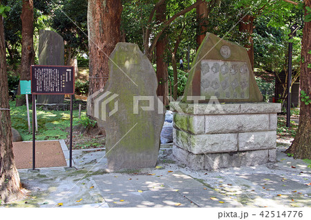 十二社熊野神社 十二社熊野神社 42514776