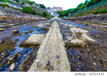 小菅修船場跡の夕暮れ　世界文化遺産　【長崎県長崎市】 42515241