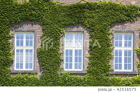 overgrown green building overgrown green building 42516575