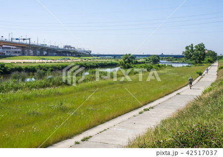 猪名川河川敷の風景 猪名川河川敷の風景 42517037