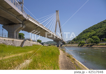 阪神高速11号池田線・新猪名川大橋 42517046