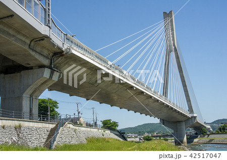阪神高速11号池田線・新猪名川大橋 阪神高速11号池田線・新猪名川大橋 42517047
