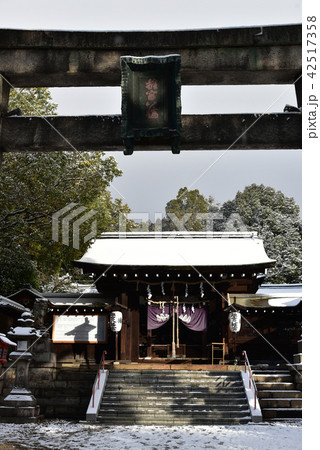 冬の離宮八幡宮 42517358