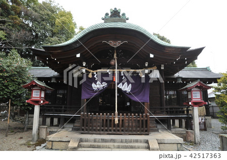 離宮八幡宮 42517363