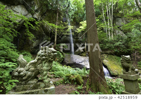吉滝（兵庫県美方郡香美町） 42518959