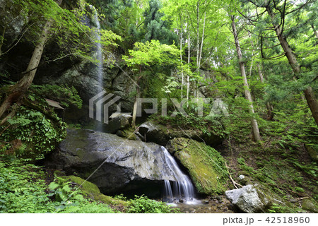 吉滝（兵庫県美方郡香美町） 42518960