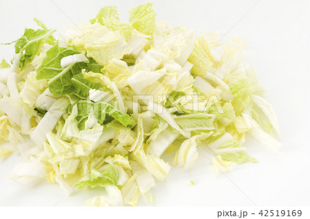 白菜のざく切り(下ごしらえ) 白菜のざく切り(下ごしらえ) 42519169