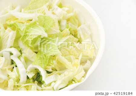 白菜のざく切り(下ごしらえ) 白菜のざく切り(下ごしらえ) 42519184