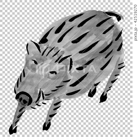 水墨畫野豬插畫 42519270