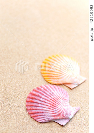 ヒオウギ貝とコルクボード 42519992