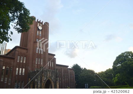 東京大学安田講堂 42520062