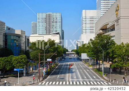 横浜けやき通り西交差点から横浜方面を望む 42520452