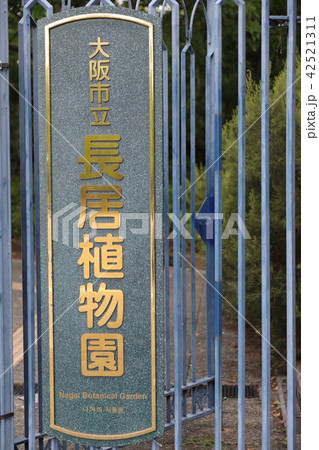 長居植物園 長居植物園 42521311