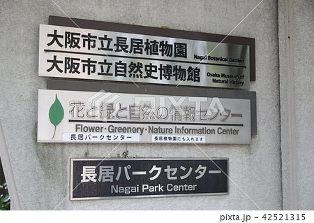 長居公園 42521315