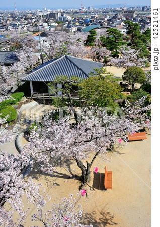 桃山公園 42521461