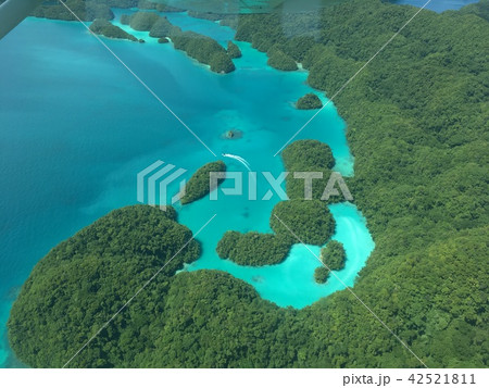 パラオ（ミルキーウェイ） 42521811