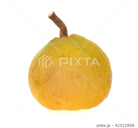 Santol fruit on white background. 42522606