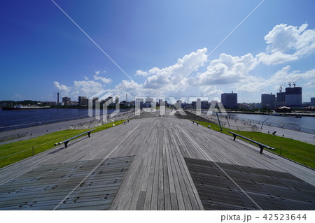 くじらの背中 (大さん橋) くじらの背中 (大さん橋) 42523644