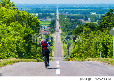 《北海道》天に続く道・スポーツサイクル 42524318