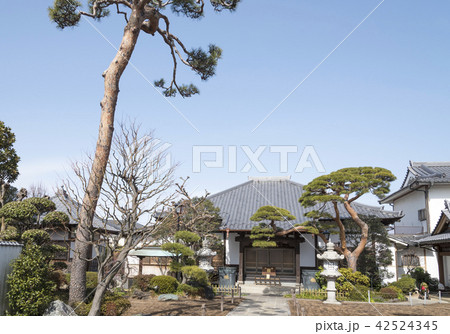 長龍寺の本堂と参道（東京都杉並区） 42524345