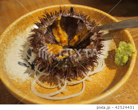 うに殻付き うに殻付き 42524431