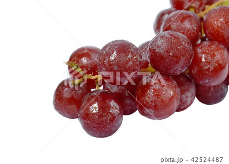red grape on white background red grape on white background 42524487