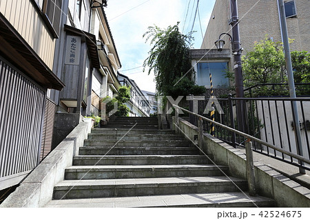 福井散策 愛宕坂（足羽山 福井県 福井市） 42524675