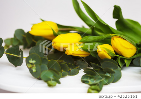beautiful yellow tulips with eucalyptus branches on a white table beautiful yellow tulips with eucalyptus branches on a white table 42525161