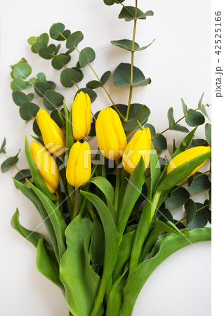 beautiful yellow tulips with eucalyptus branches on a white table beautiful yellow tulips with eucalyptus branches on a white table 42525166