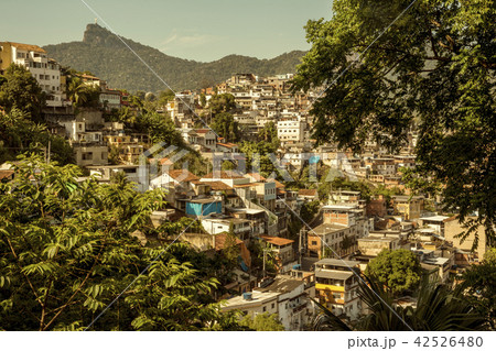 Favela in Rio de Janeiro Favela in Rio de Janeiro 42526480