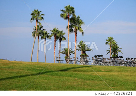 田ノ浦海浜公園 大分市 田ノ浦海浜公園 大分市 42526821
