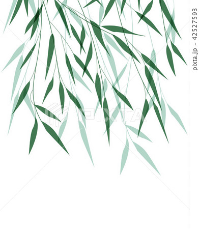 Bamboo green leaf Bamboo green leaf 42527593